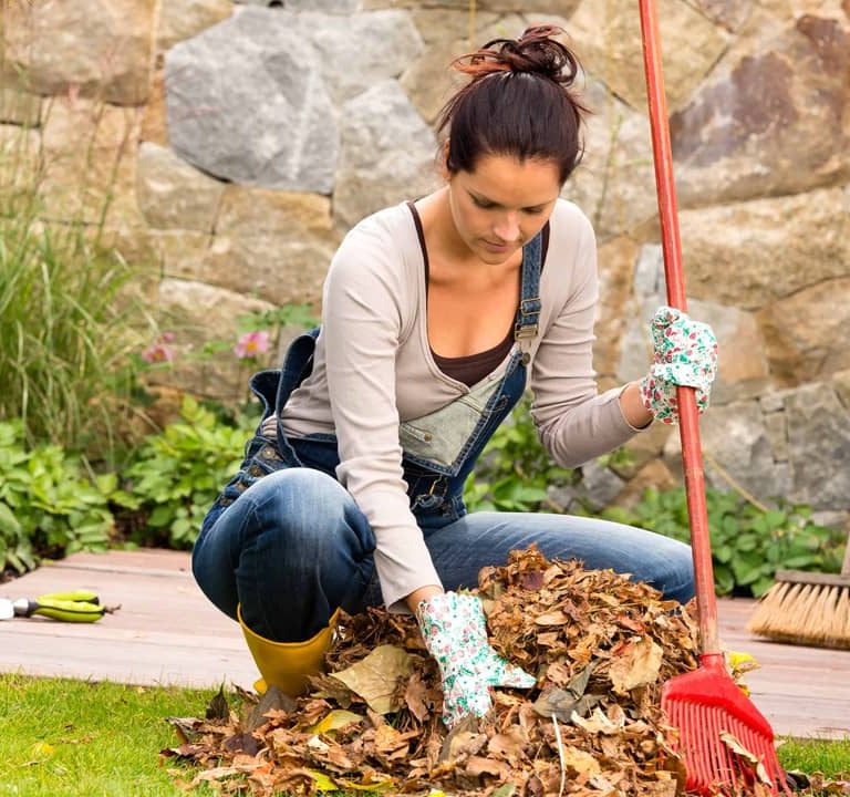 Garden Cleaning